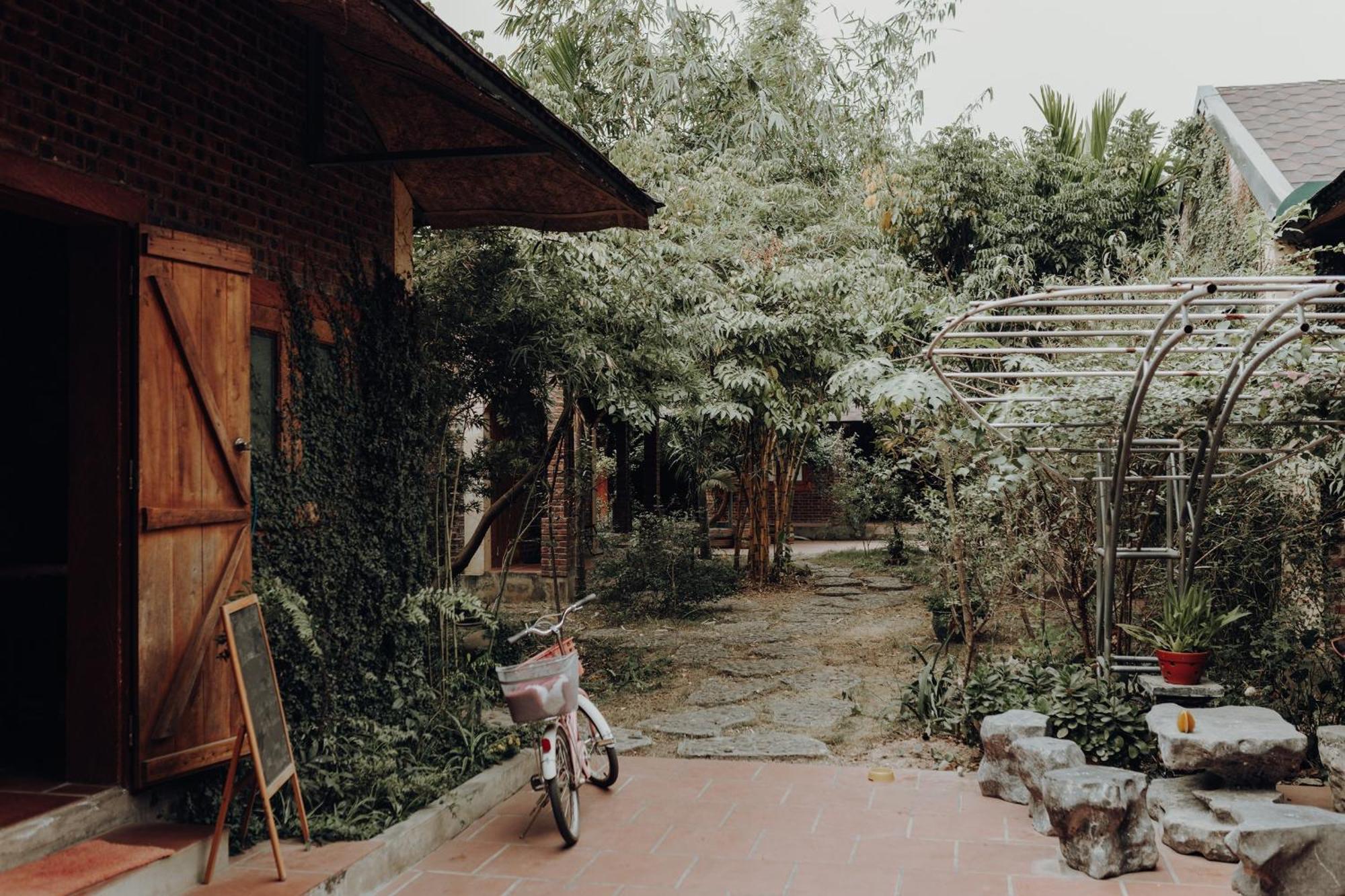 Ninh Binh Palm Homestay Kültér fotó