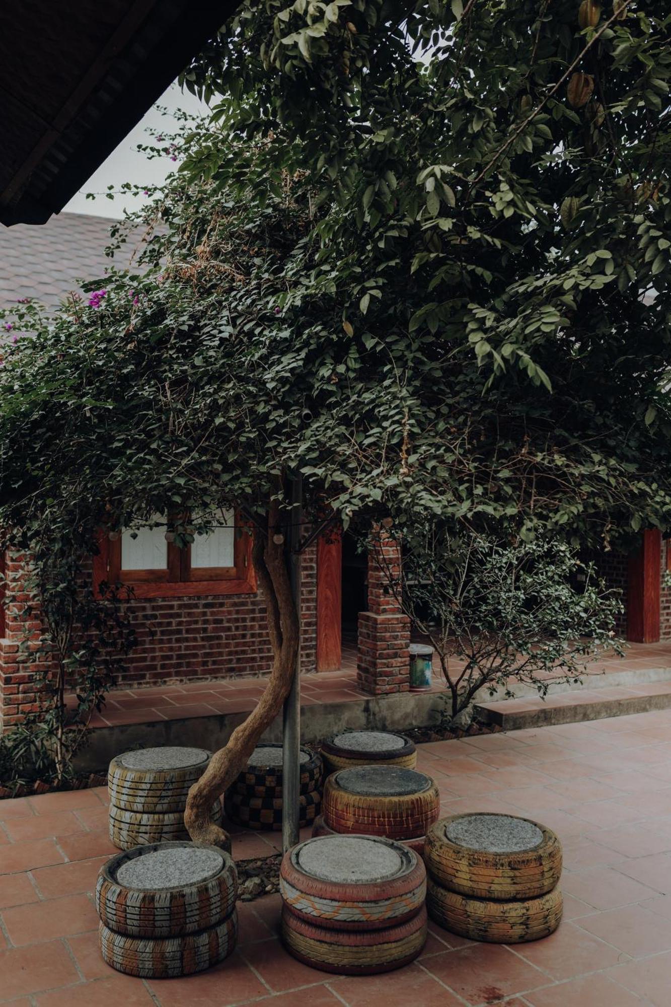 Ninh Binh Palm Homestay Kültér fotó