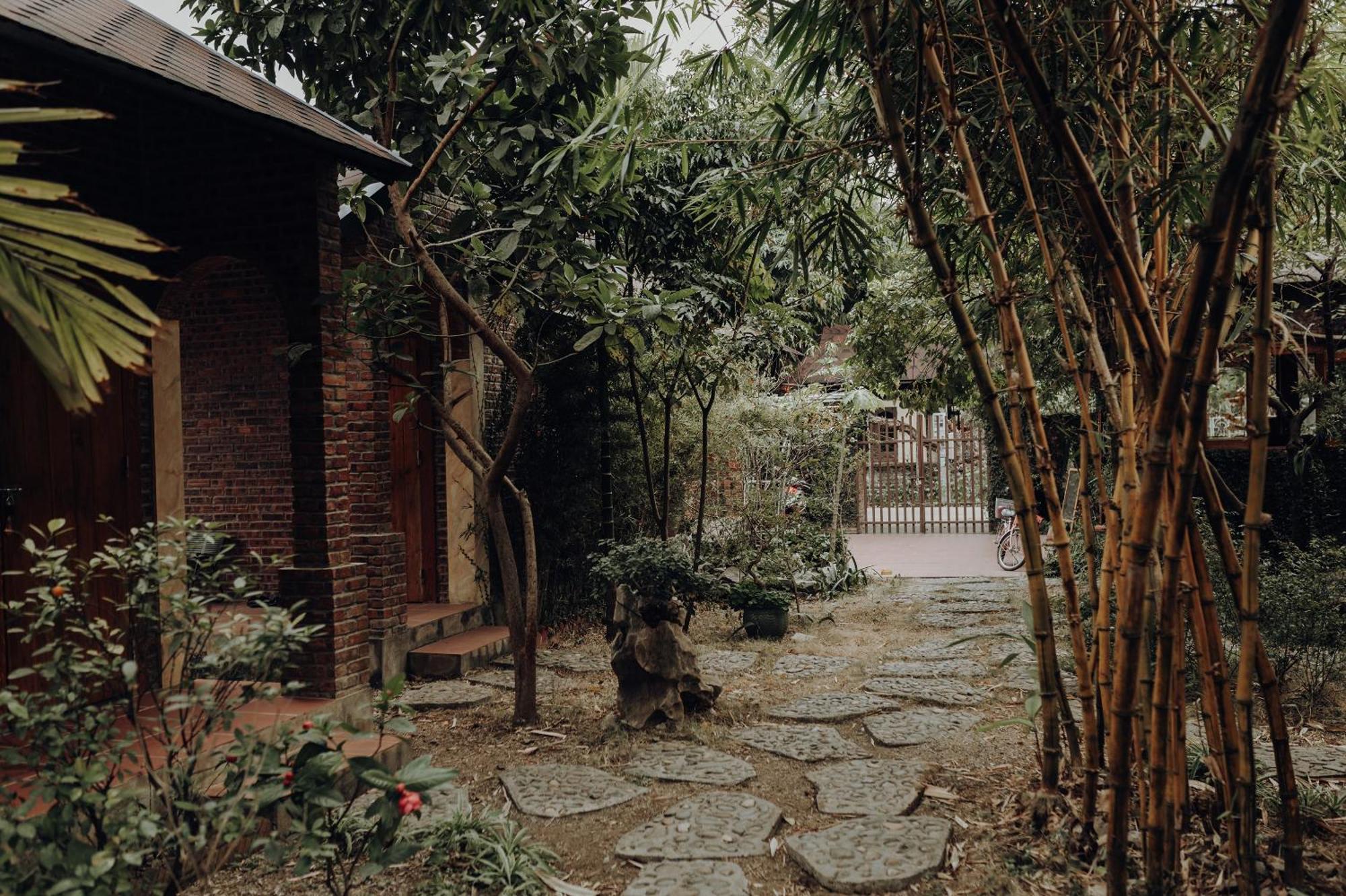 Ninh Binh Palm Homestay Kültér fotó