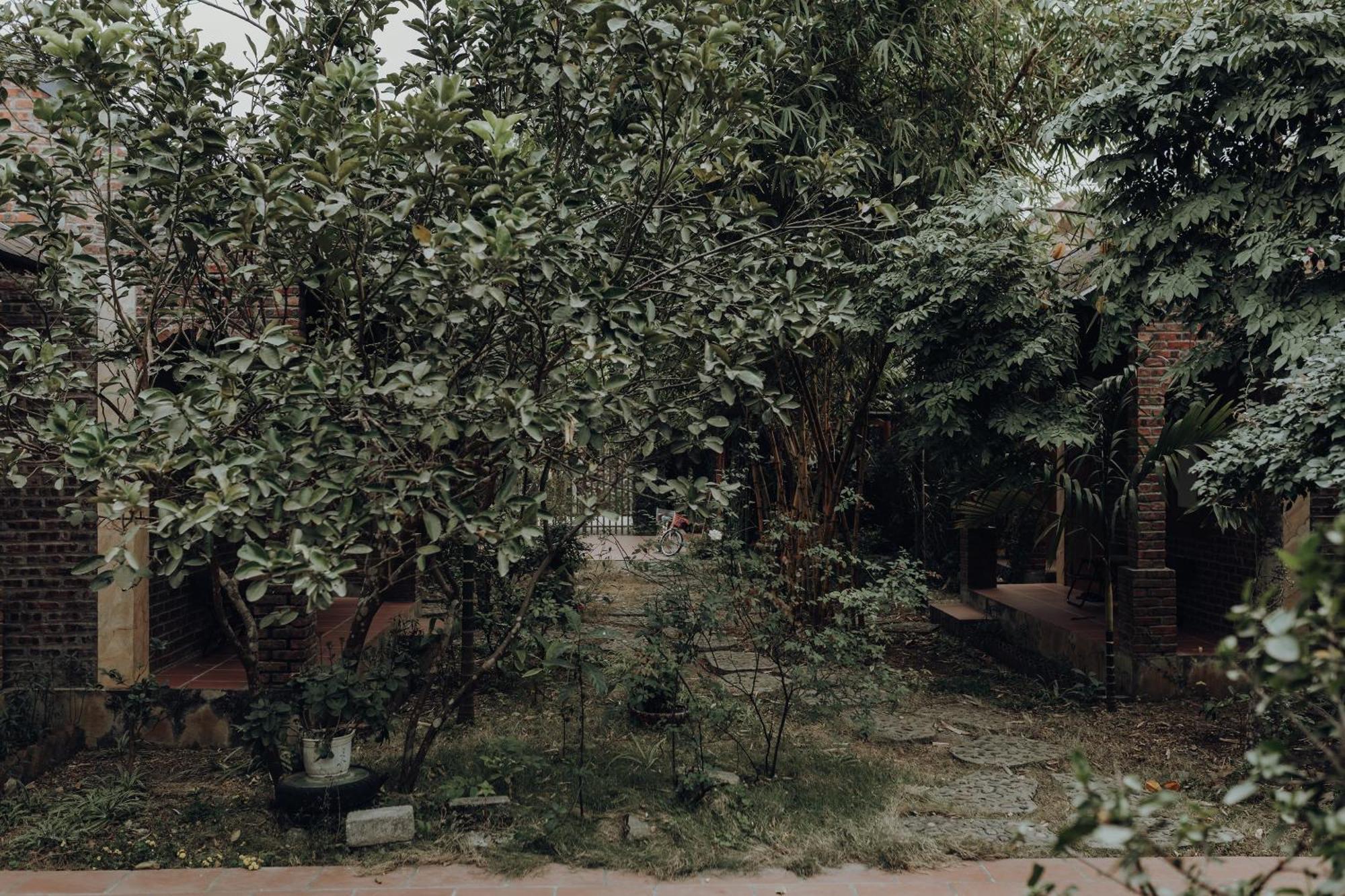 Ninh Binh Palm Homestay Kültér fotó