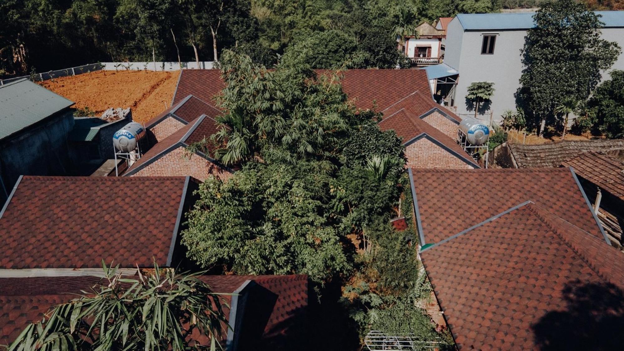 Ninh Binh Palm Homestay Kültér fotó