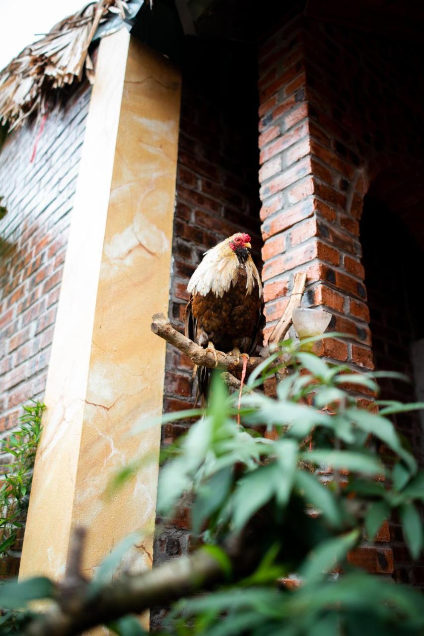 Ninh Binh Palm Homestay Kültér fotó